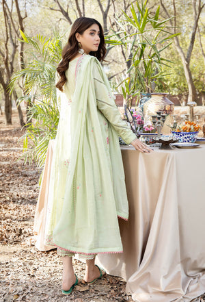 Blossom Unstitched Embroidered Lawn by Adan's Libas