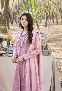 Blossom Unstitched Embroidered Lawn by Adan's Libas