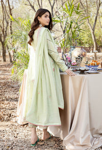 Blossom Unstitched Embroidered Lawn by Adan's Libas