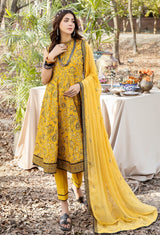 Blossom Unstitched Embroidered Lawn by Adan's Libas