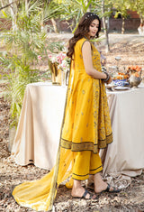 Blossom Unstitched Embroidered Lawn by Adan's Libas