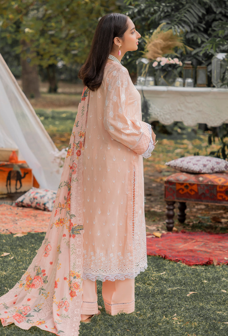 Chikankari'2 Pret 5155
