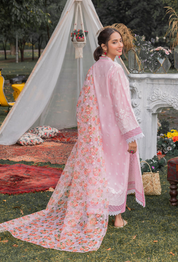 Chikankari'2 Pret 5158