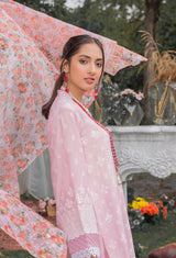 Chikankari'2 Pret 5158