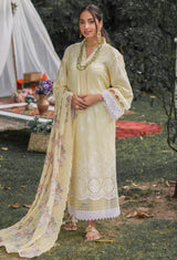 Chikankari'2 Pret 5159