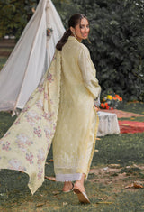 Chikankari'2 Pret 5159