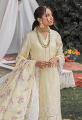Chikankari'2 Pret 5159