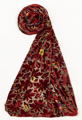 Plachi Velvet Edit (Design-1)