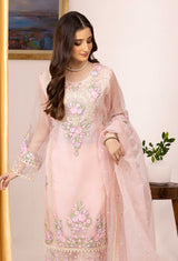 Organza Pret 5420