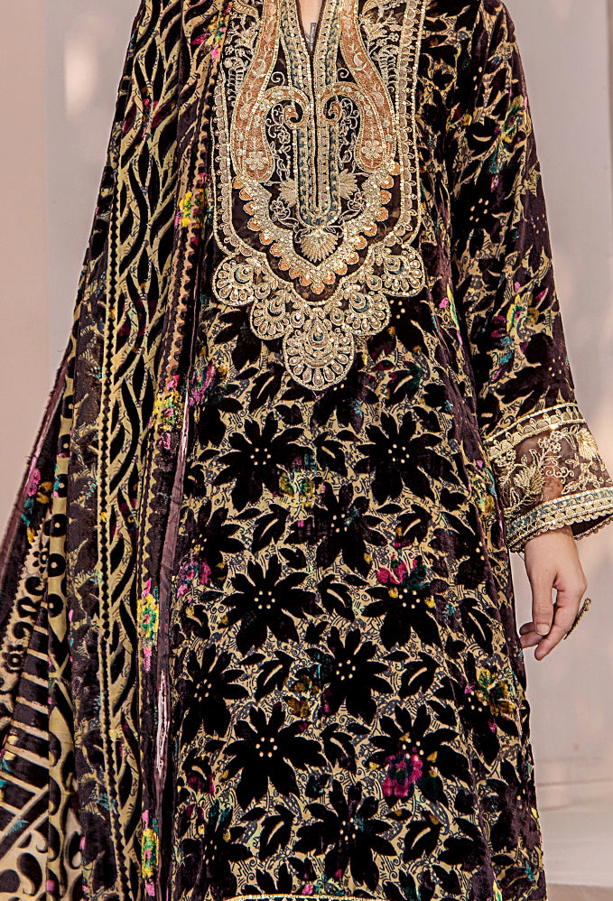 Plachi Velvet Edit (Design-1)