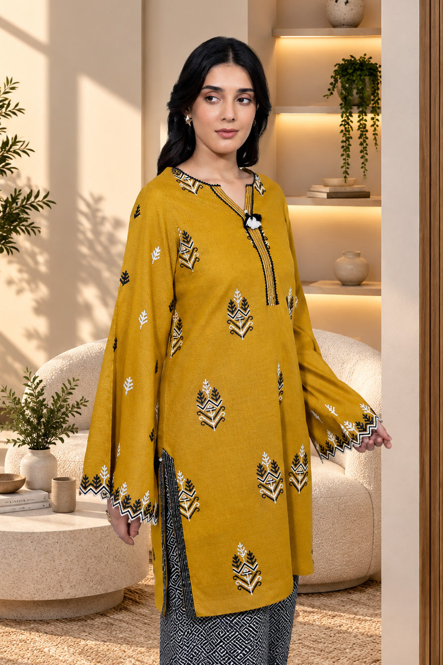 2 PIECE - EMBROIDERED KHADDAR