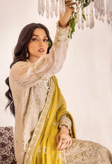 Lueur Chiffon 5336