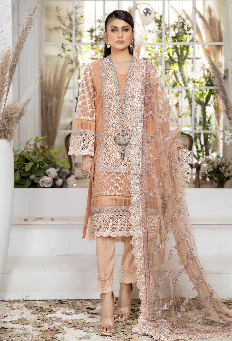 Pinkish Tan - Embroidered Organza Pret