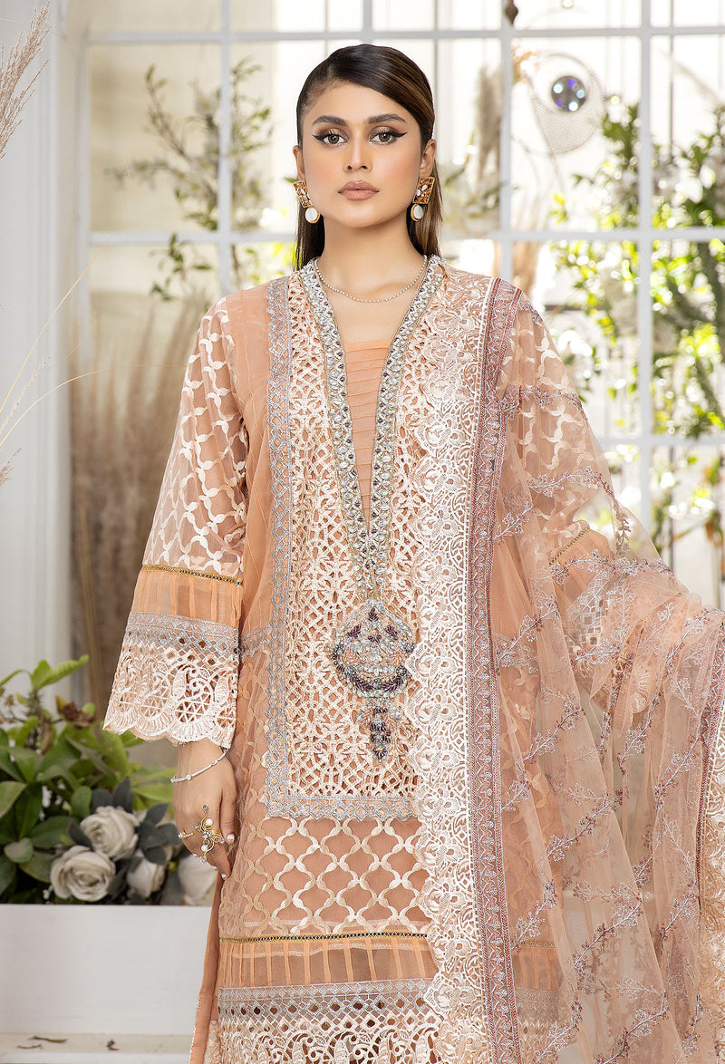 Pinkish Tan - Embroidered Organza Pret