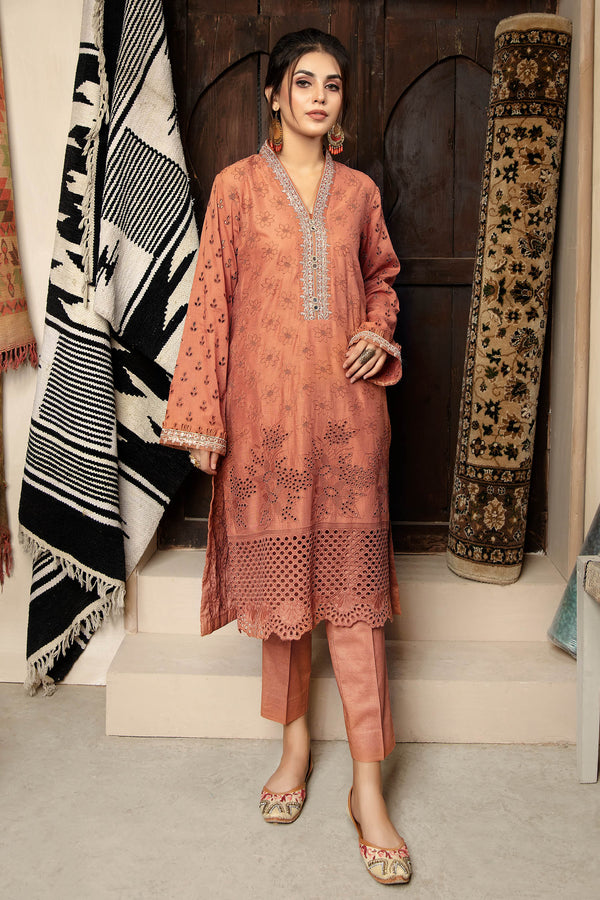 Ailyak - Schiffli Embroidered Lawn Stitch Kurti