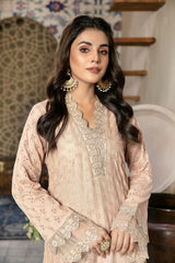 Aisling - Schiffli Embroidered Lawn Stitch Kurti