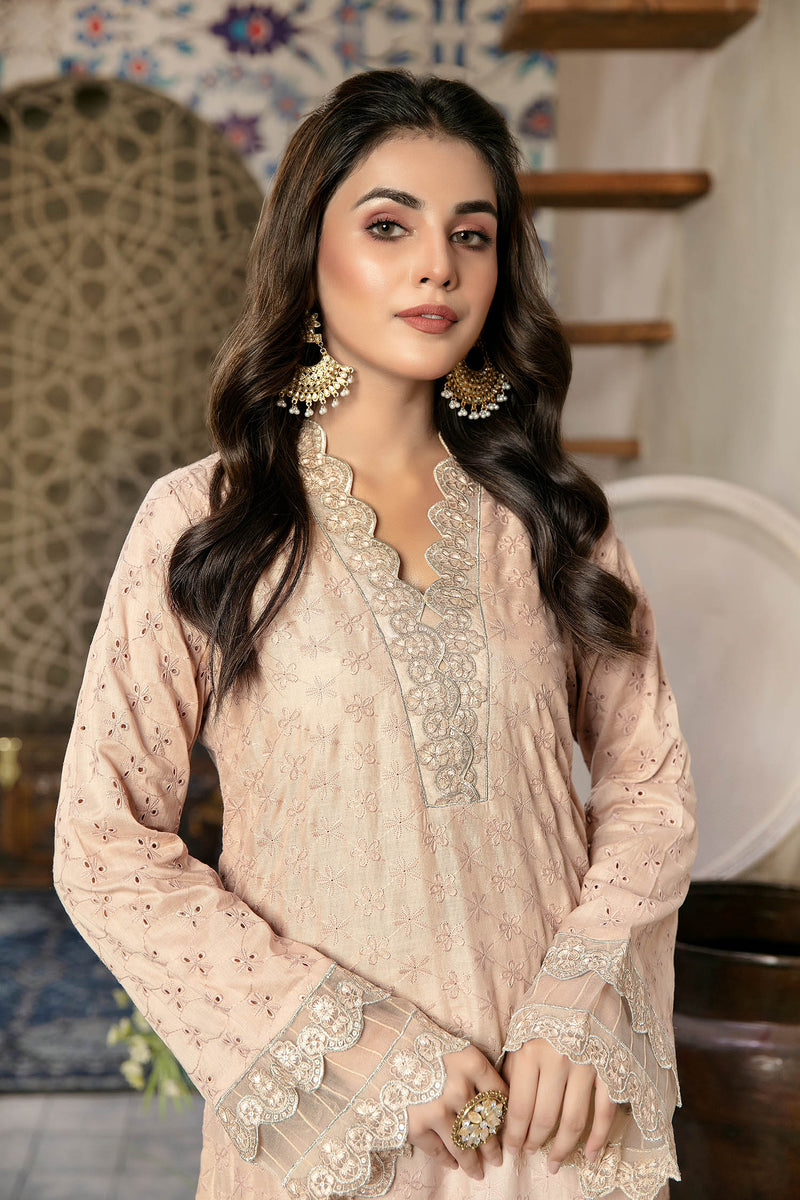 Aisling - Schiffli Embroidered Lawn Stitch Kurti
