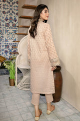 Aisling - Schiffli Embroidered Lawn Stitch Kurti