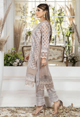 Almond Frost - Embroidered Organza Pret