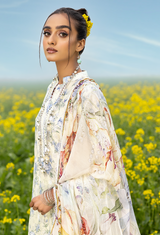 Daisy