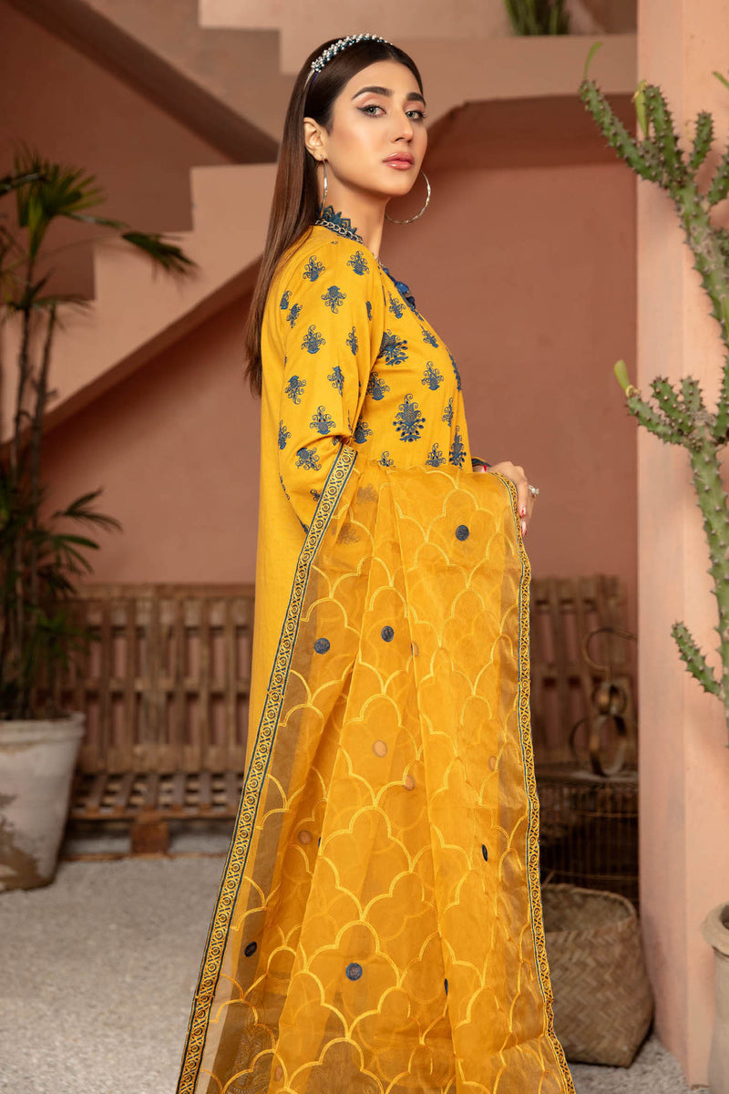 Supernova - Embroidered Lawn Stitched 3PC