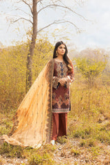 Exotic Radiance