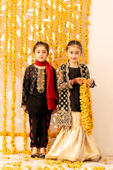 Black Embroidered Net Gown