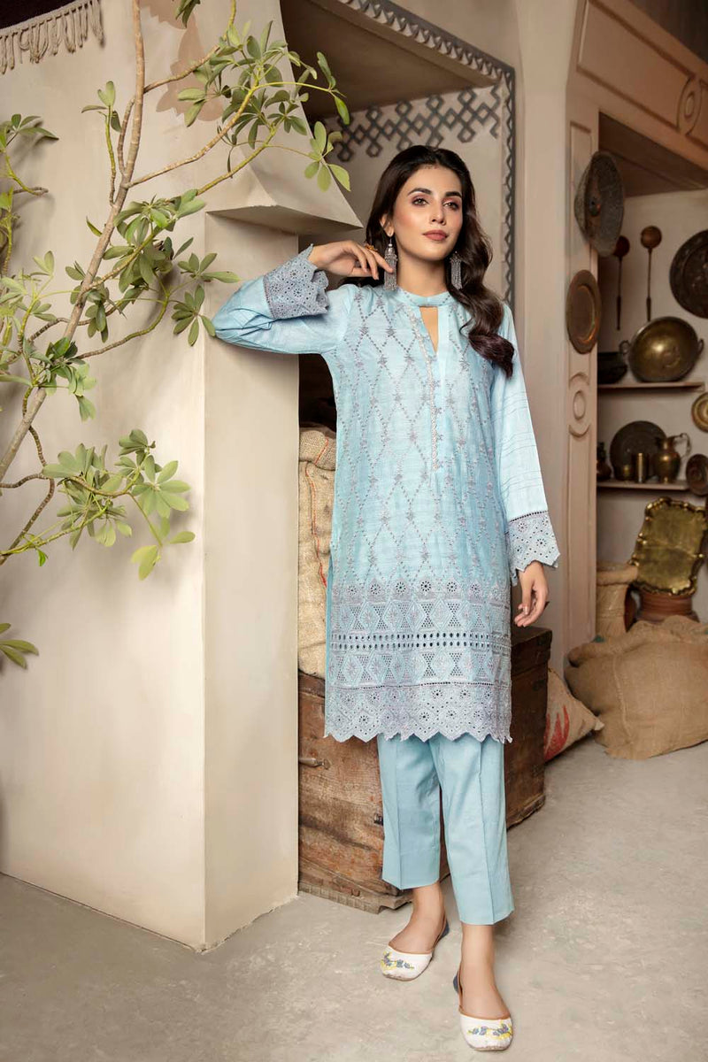 Arctic - Embroidered Chikankari Stitched Kurti