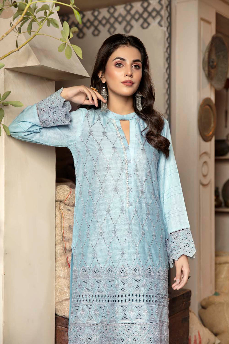 Arctic - Embroidered Chikankari Stitched Kurti