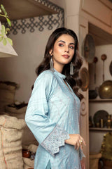 Arctic - Embroidered Chikankari Stitched Kurti