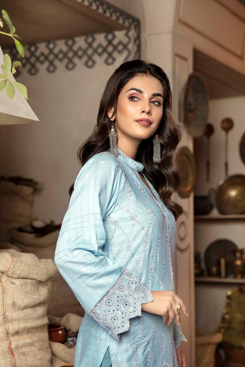 Arctic - Embroidered Chikankari Stitched Kurti