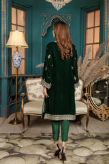 Pale Green - Stitched Embroidered Velvet 2PC