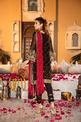 Roshanara - Hand Embellished & Embroidered