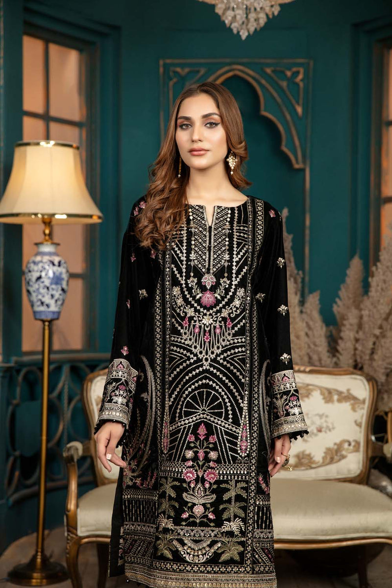 Piled - Stitched Embroidered Velvet 2PC