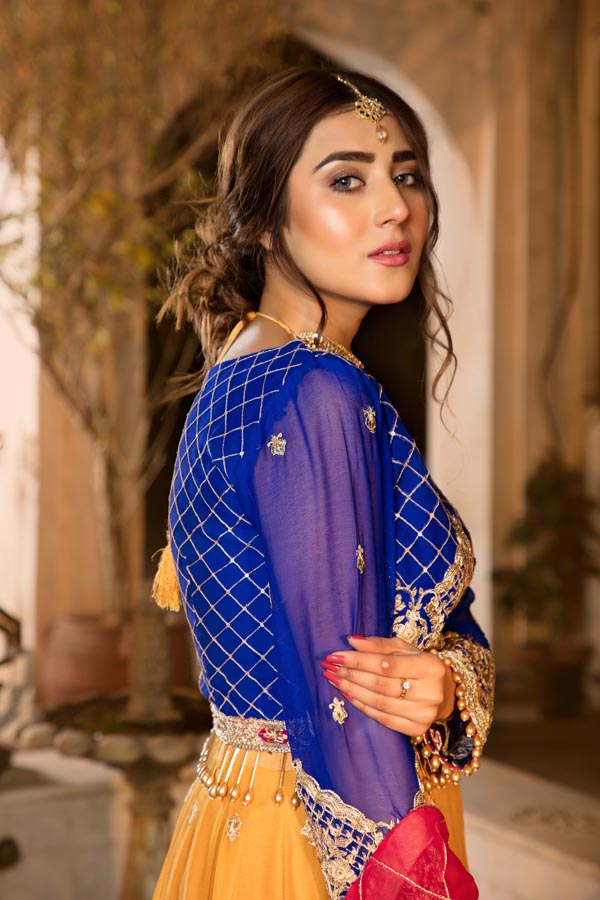 Noor Jahan - Lehanga Hand Embellished & Embroidered