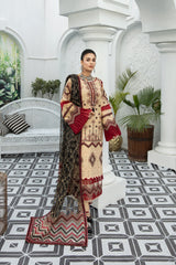 Ethnic Looks