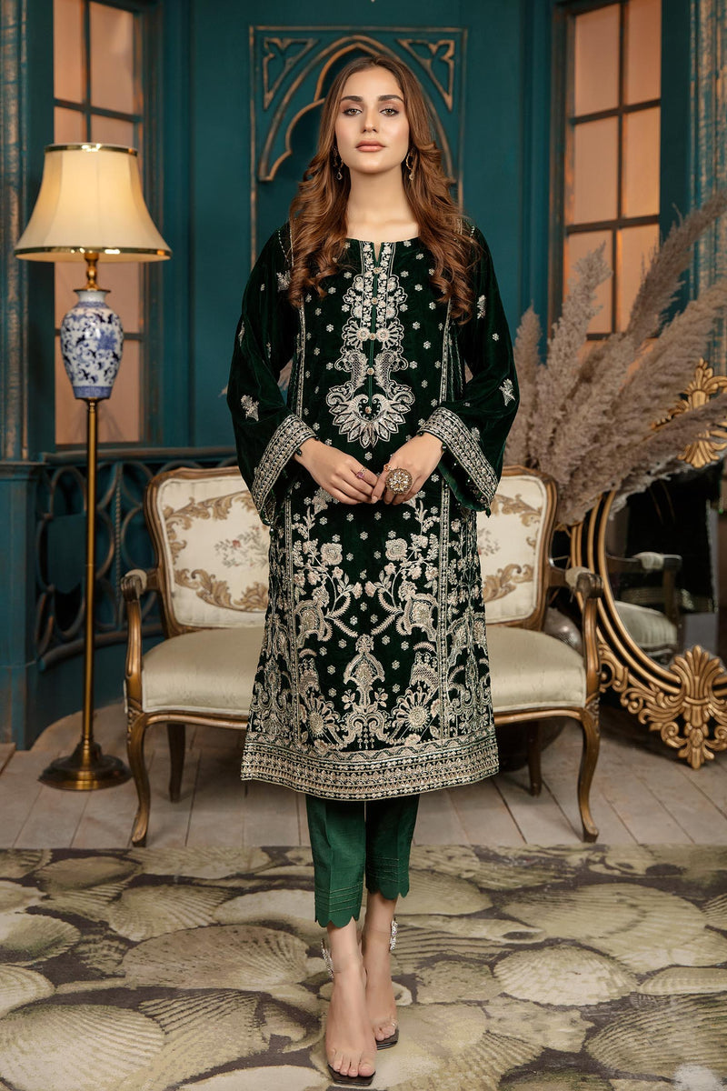 Pale Green - Stitched Embroidered Velvet 2PC
