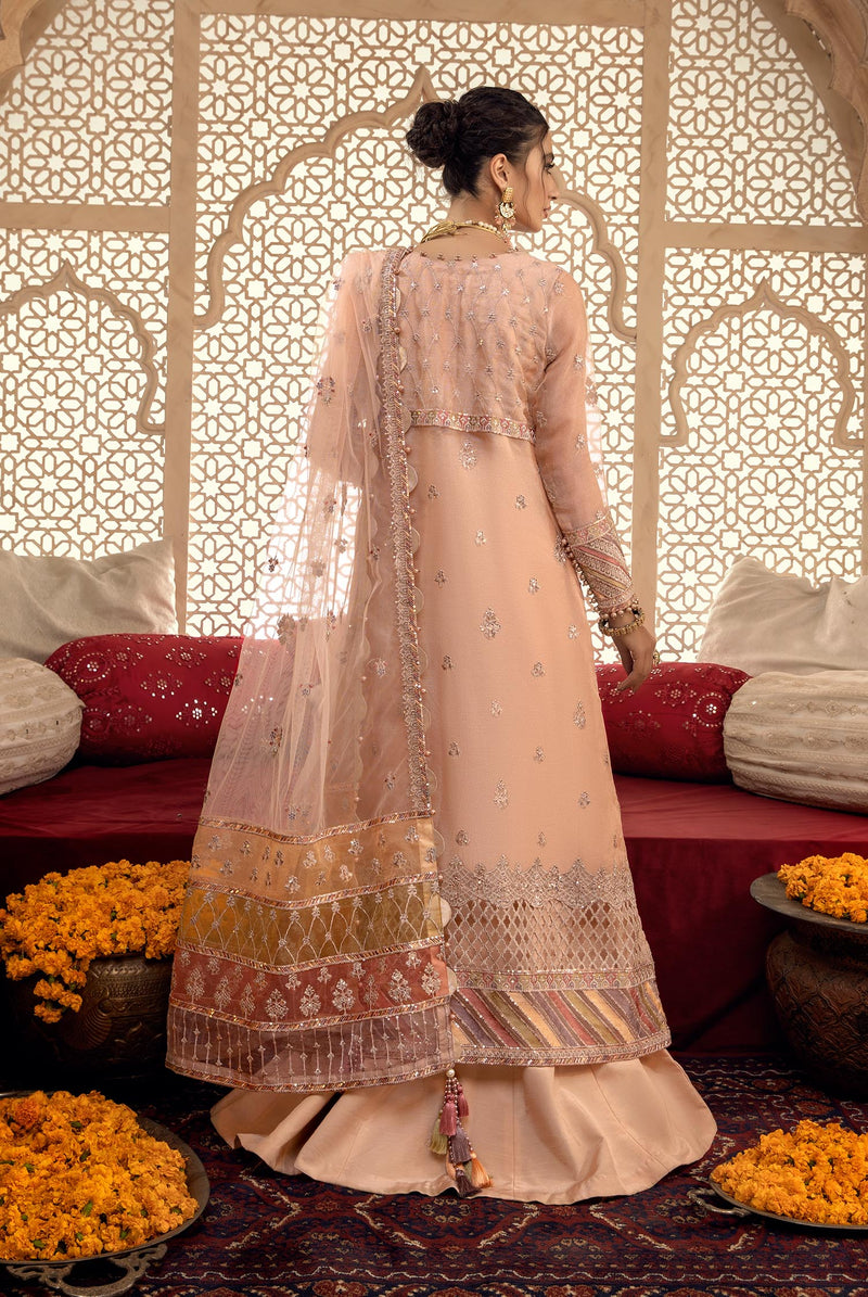 Amad e Subh - Wedding Festive