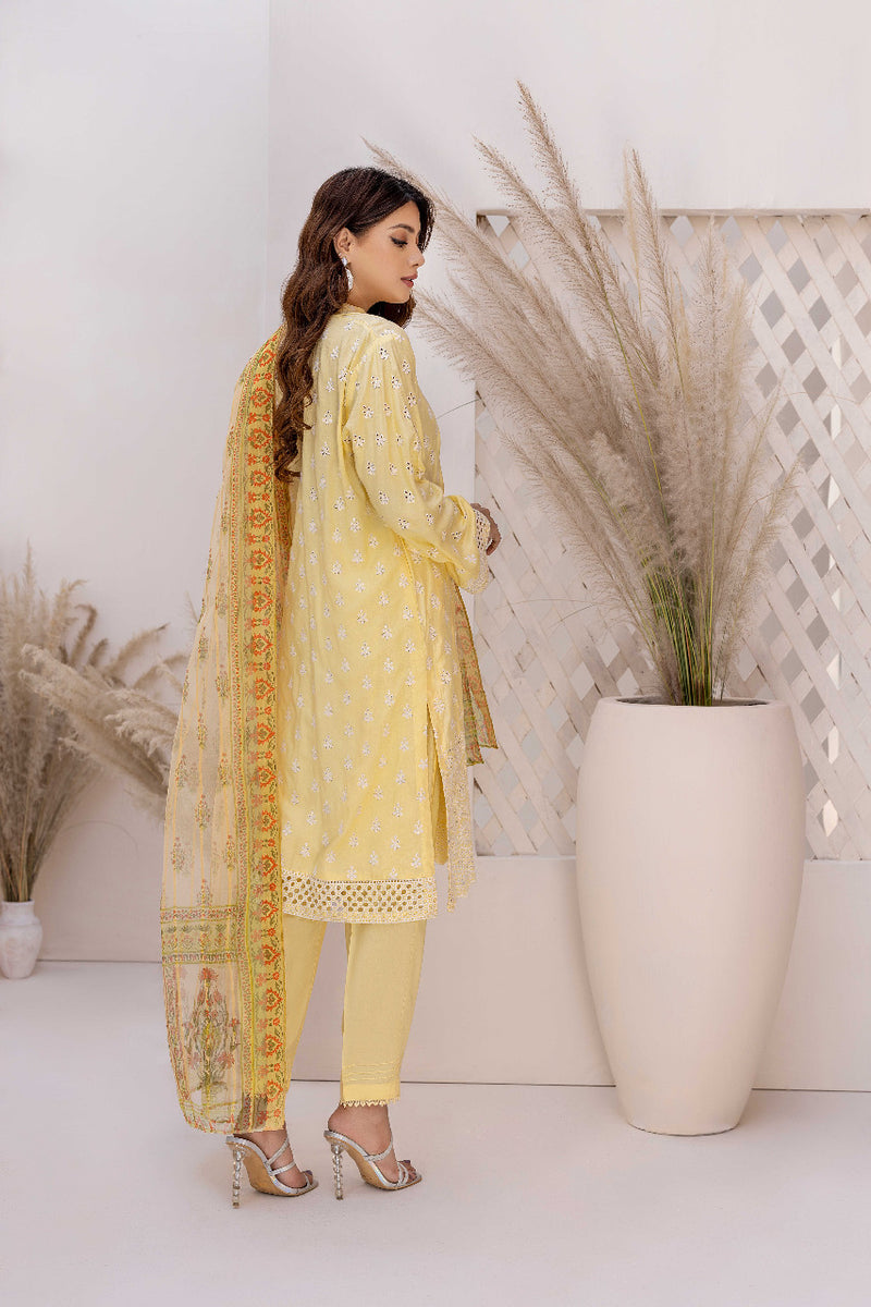 Pale Goldenrod - Schiffli Embroidered Linen 3PC Pret